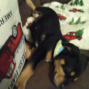 Meet your Posher, Liam